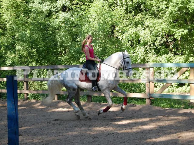 platinumhorse.ru, фото 2