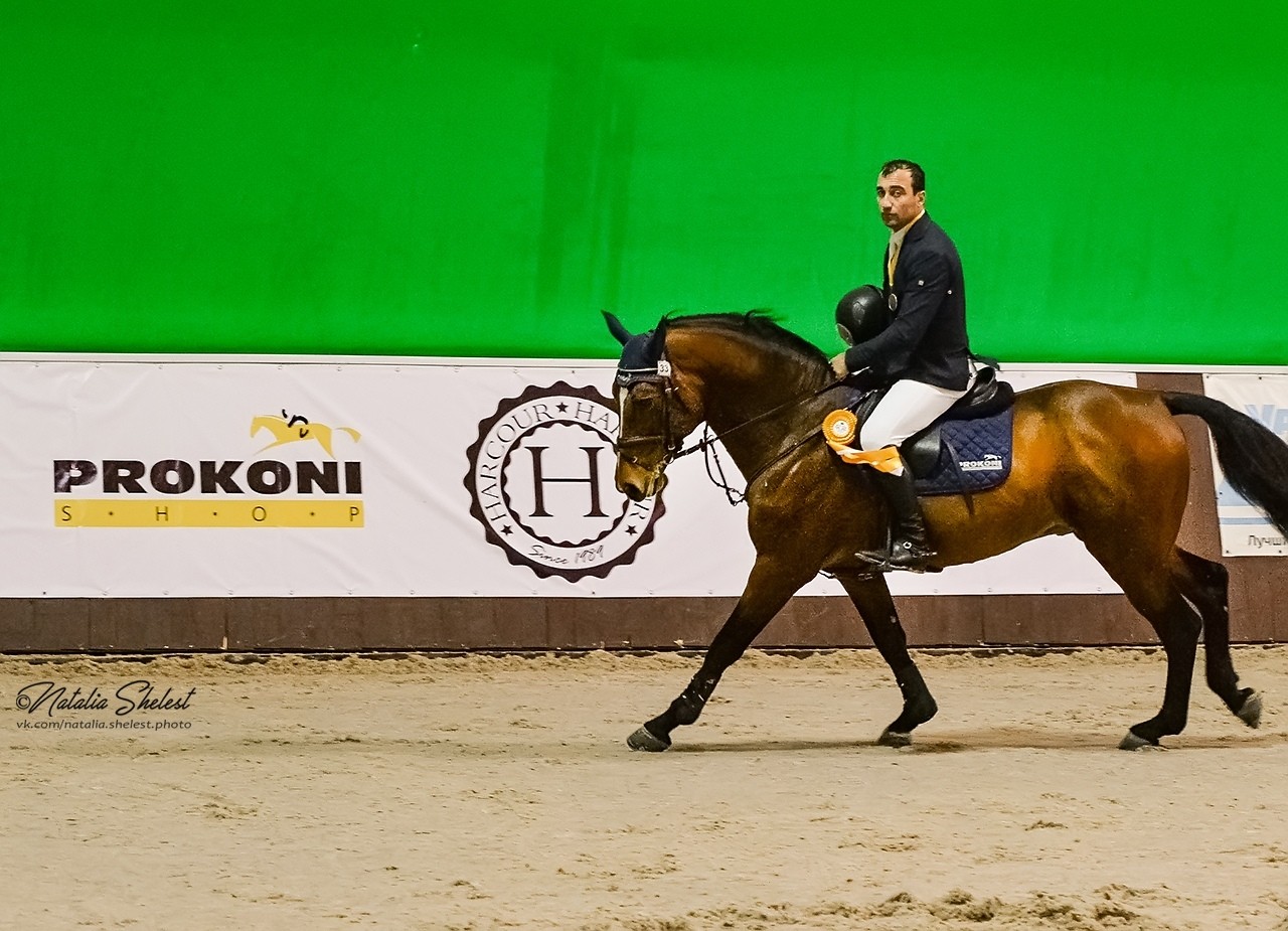 Голден Хорс. КСК Golden Horse. Голден хорсе Ростов. Голден Хорс тренера. Голден хорс отзывы