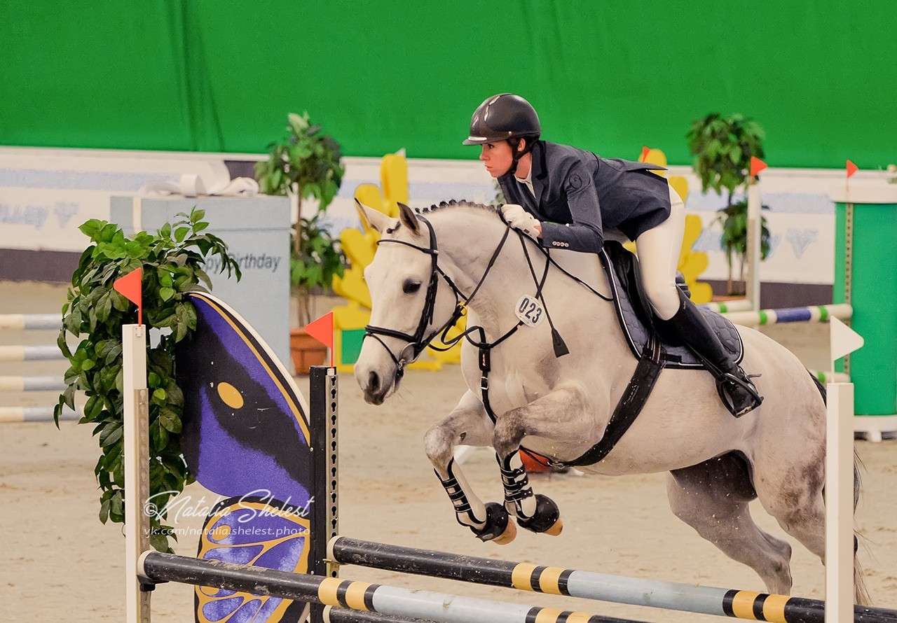 Голден хорс сайт. КСК Голден Хорс. Голден Хорс Таганрог. Golden Horse Таганрог. КСК Таганрог.