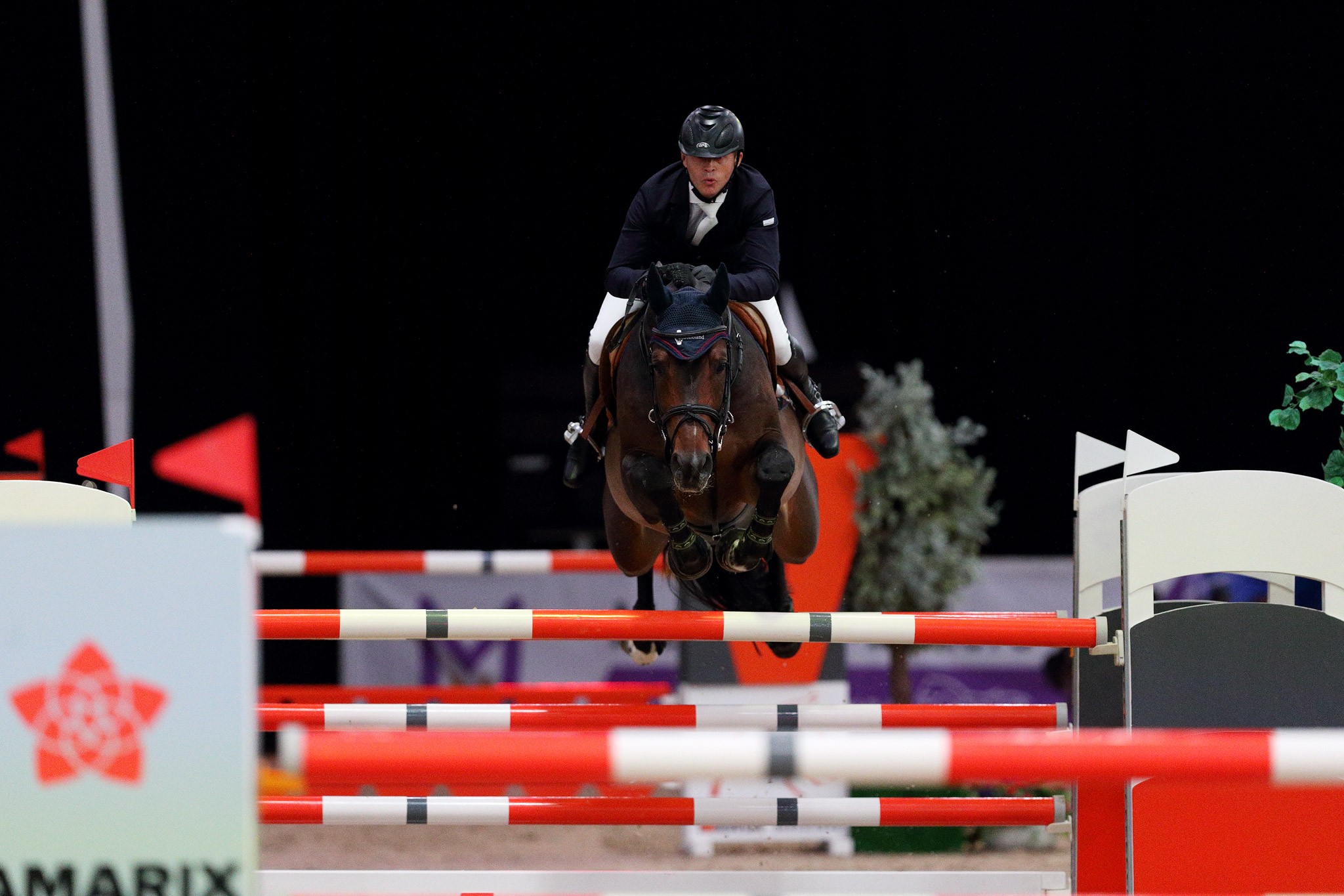 Конный спорт спб. Федерация конного спорта СПБ. Кубок ФКСР. ФКС СПБ Воробьев.