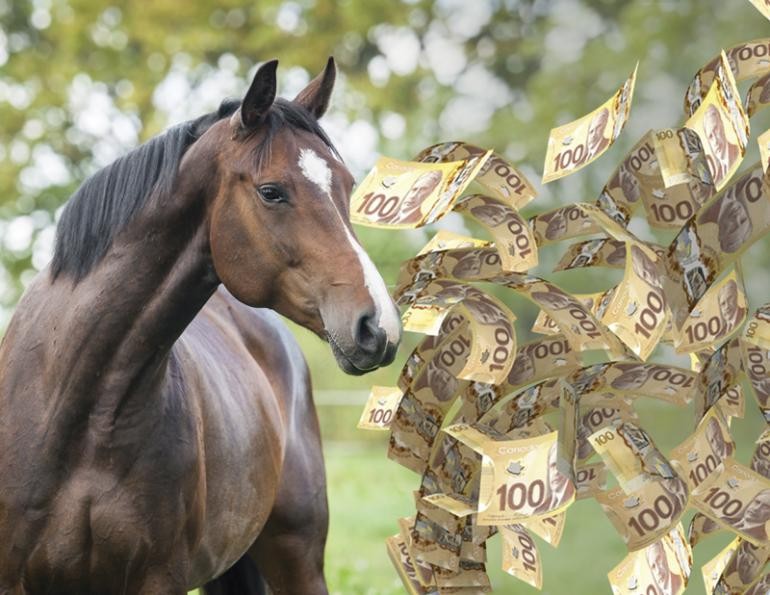 7 раз отмерь, 1 — отрежь: решения, перед которыми стоит еще раз все взвесить