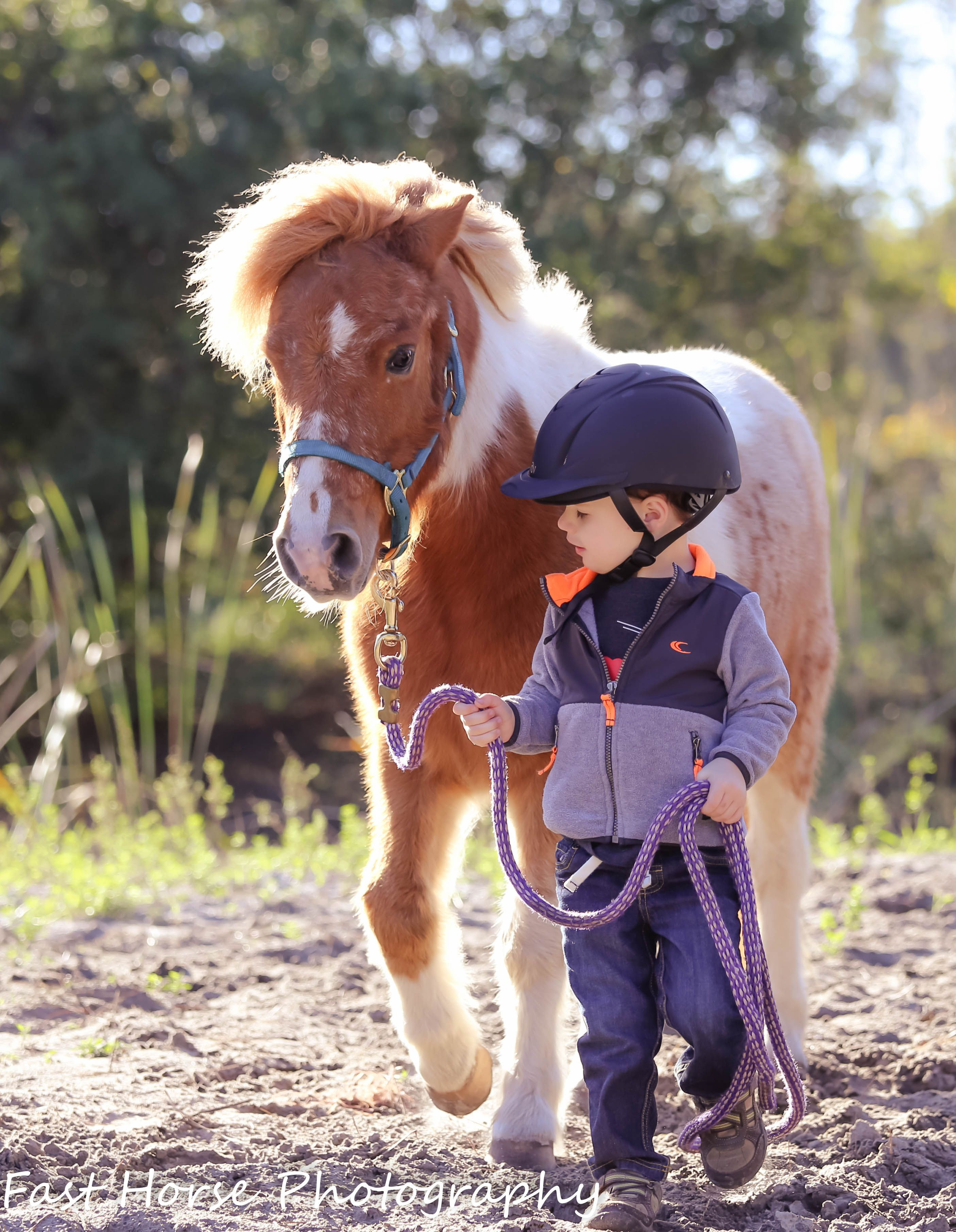 Mini pony