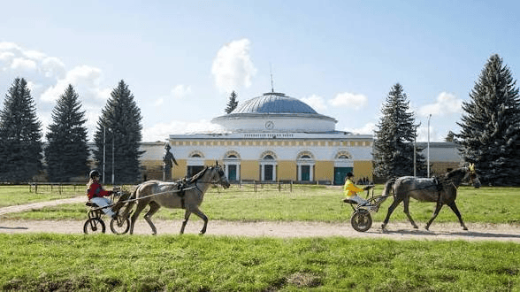 Хреновскому конному заводу исполнилось 250 лет