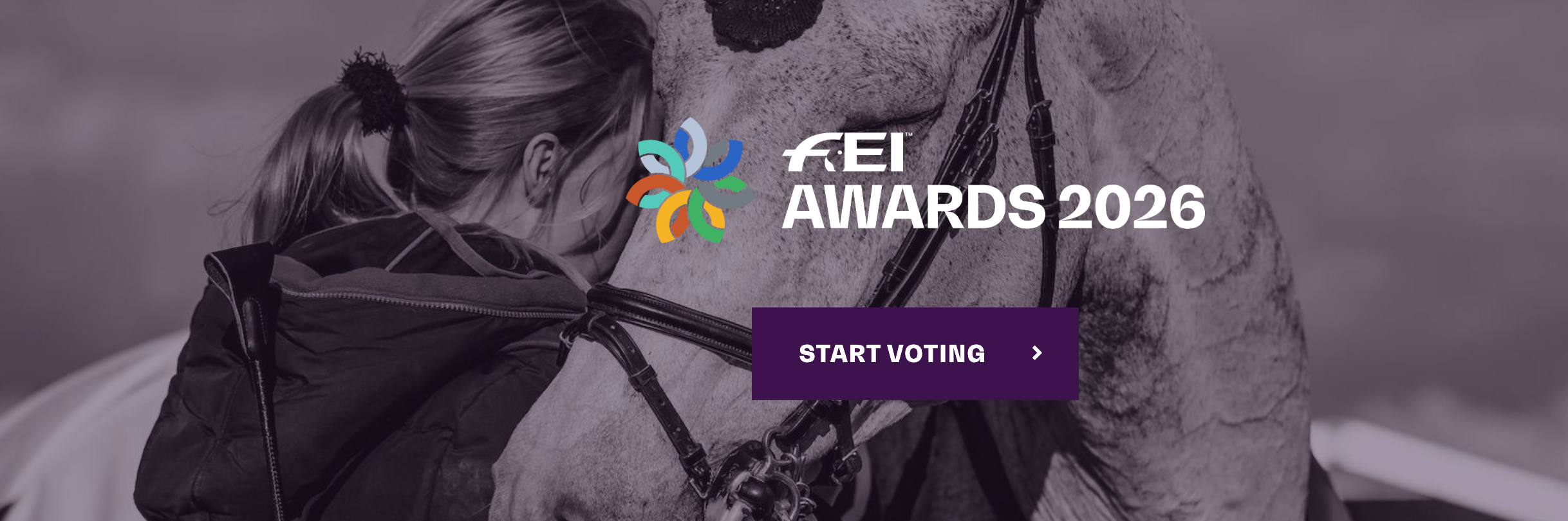 Стартовало голосование за номинантов FEI Awards