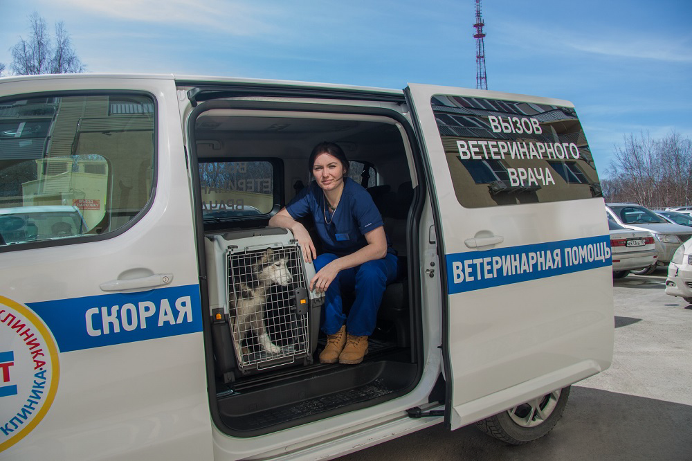 Ветеринарный автомобиль внутри