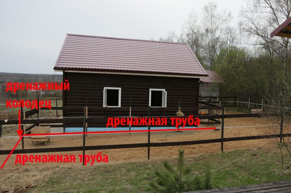 что такое паддок для лошадей. Смотреть фото что такое паддок для лошадей. Смотреть картинку что такое паддок для лошадей. Картинка про что такое паддок для лошадей. Фото что такое паддок для лошадей