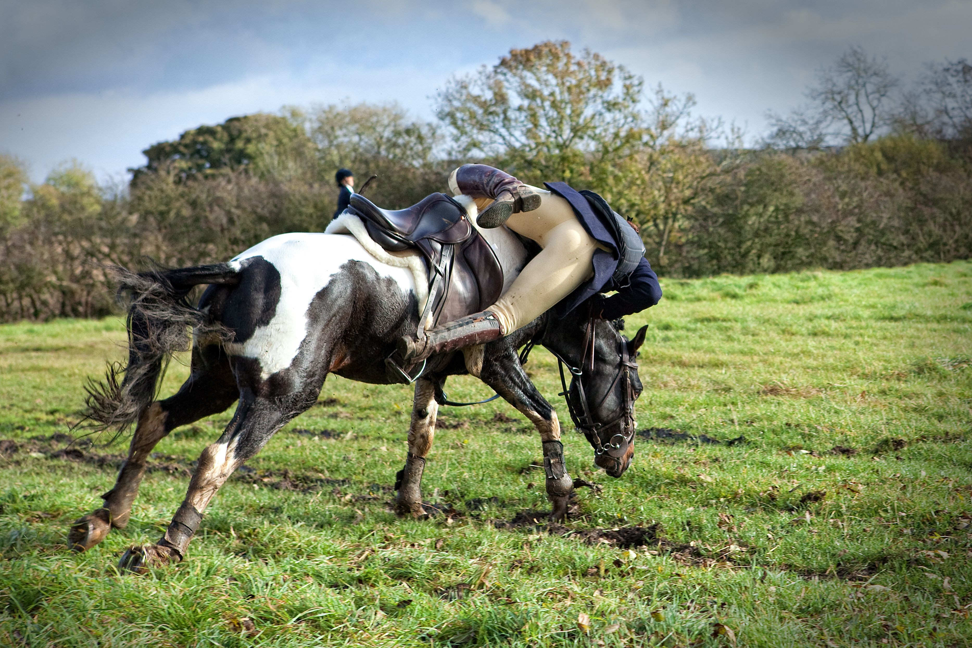 Velocidad de un caballo