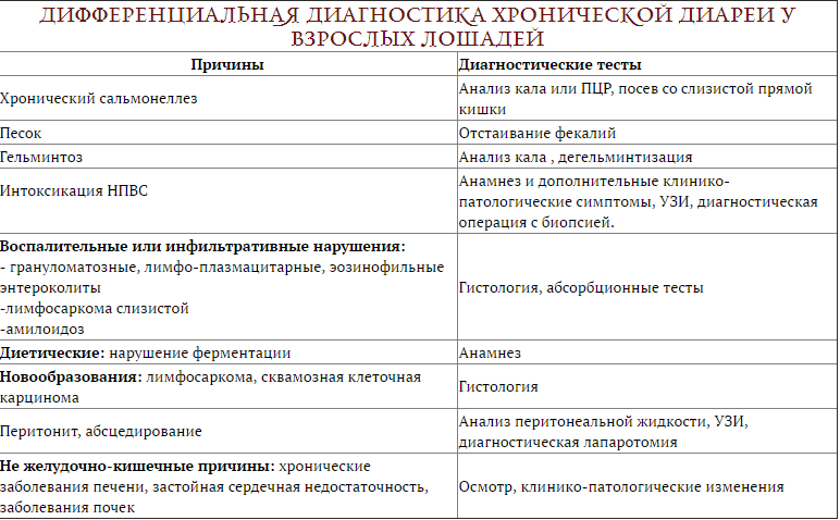 От чего у лошади понос