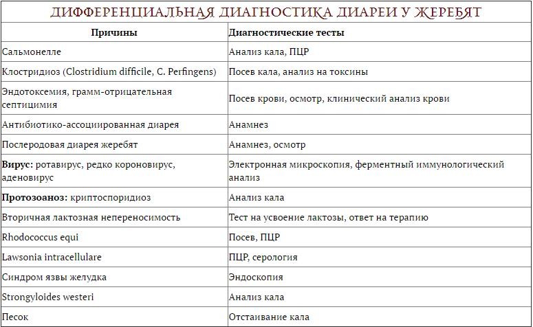 Как вылечить понос у жеребенка