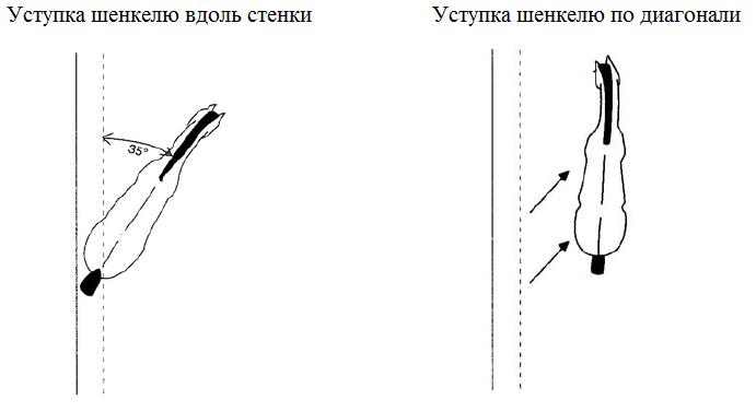Уступка шенкелю. Выездка уступка шенкелю. Элементы в выездке уступка шенкелю. Уступка шенкелю на лошади. Уступка шенкелю и плечо внутрь.
