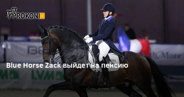 Blue Horse Zack выйдет на пенсию | Prokoni.ru
