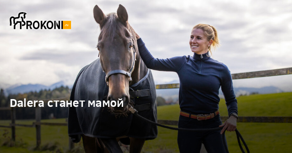 www.prokoni.ru