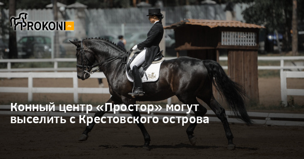 www.prokoni.ru