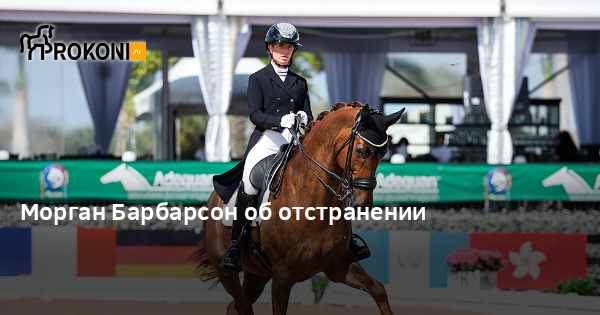 www.prokoni.ru