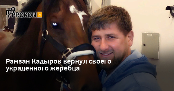 кадыров лошади обмен