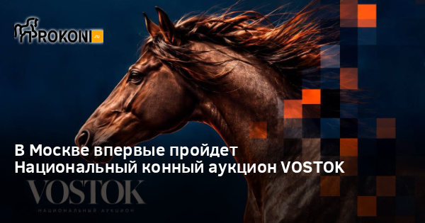 www.prokoni.ru