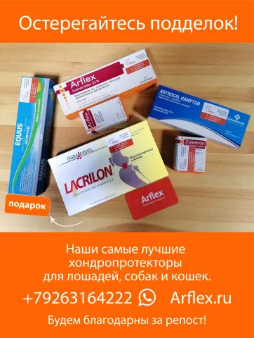 Arflex, фото 1