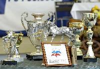 Призы